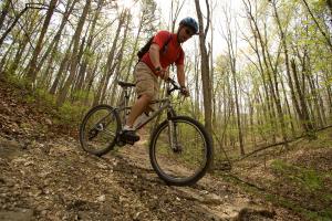 biking in the woods