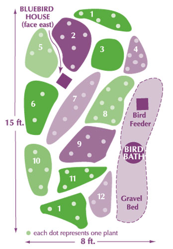 Diagram showing example garden layout 