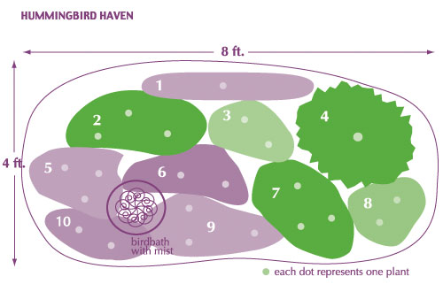 Diagram of hummingbird garden layout
