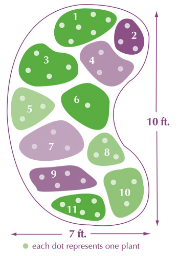 Diagram of layout for a rain garden