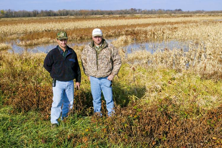 Two men standing in front of flooded corn and sorghum field