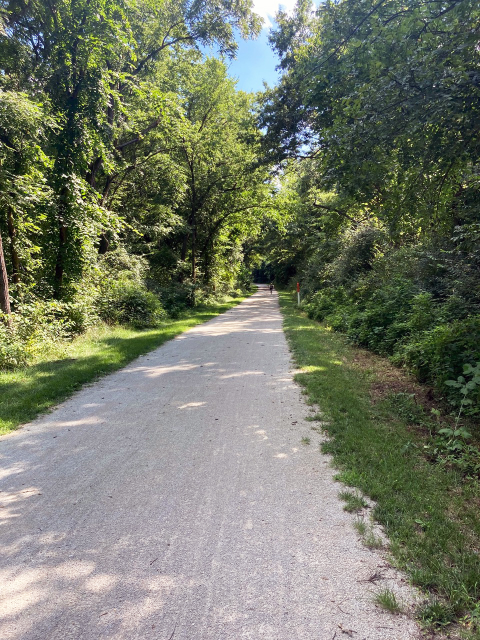Trail through a corridor of trees 