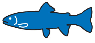 Blue Ribbon Trout Area