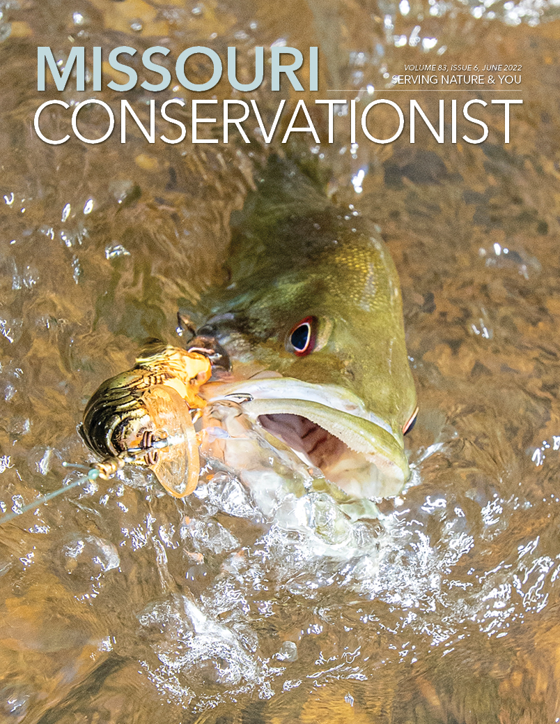 June Mocon Cover
