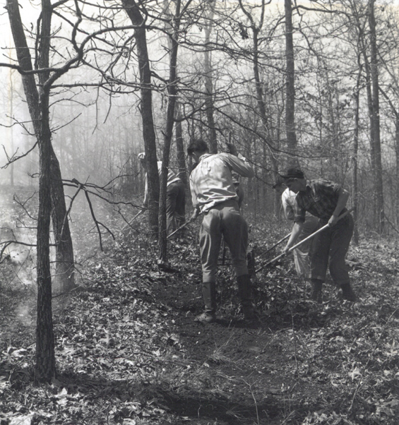 Forest firefighters