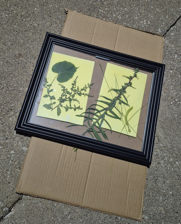 art projects