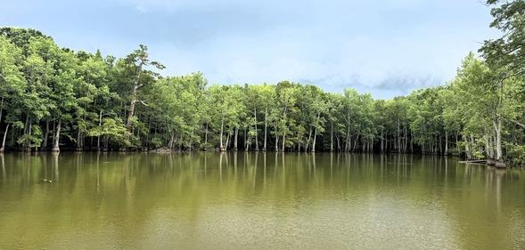 Allred Lake Natural Area
