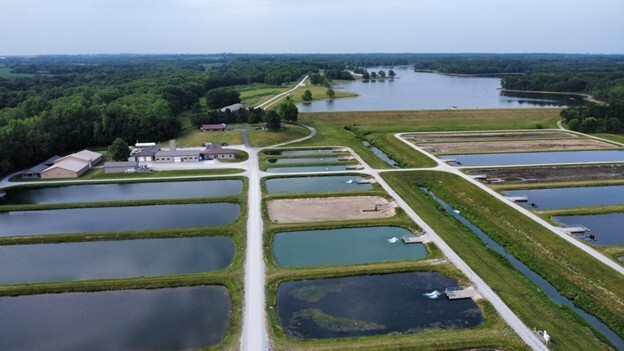 Blind Pony Hatchery aerial view 
