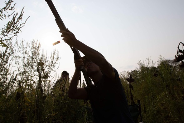 dove hunt