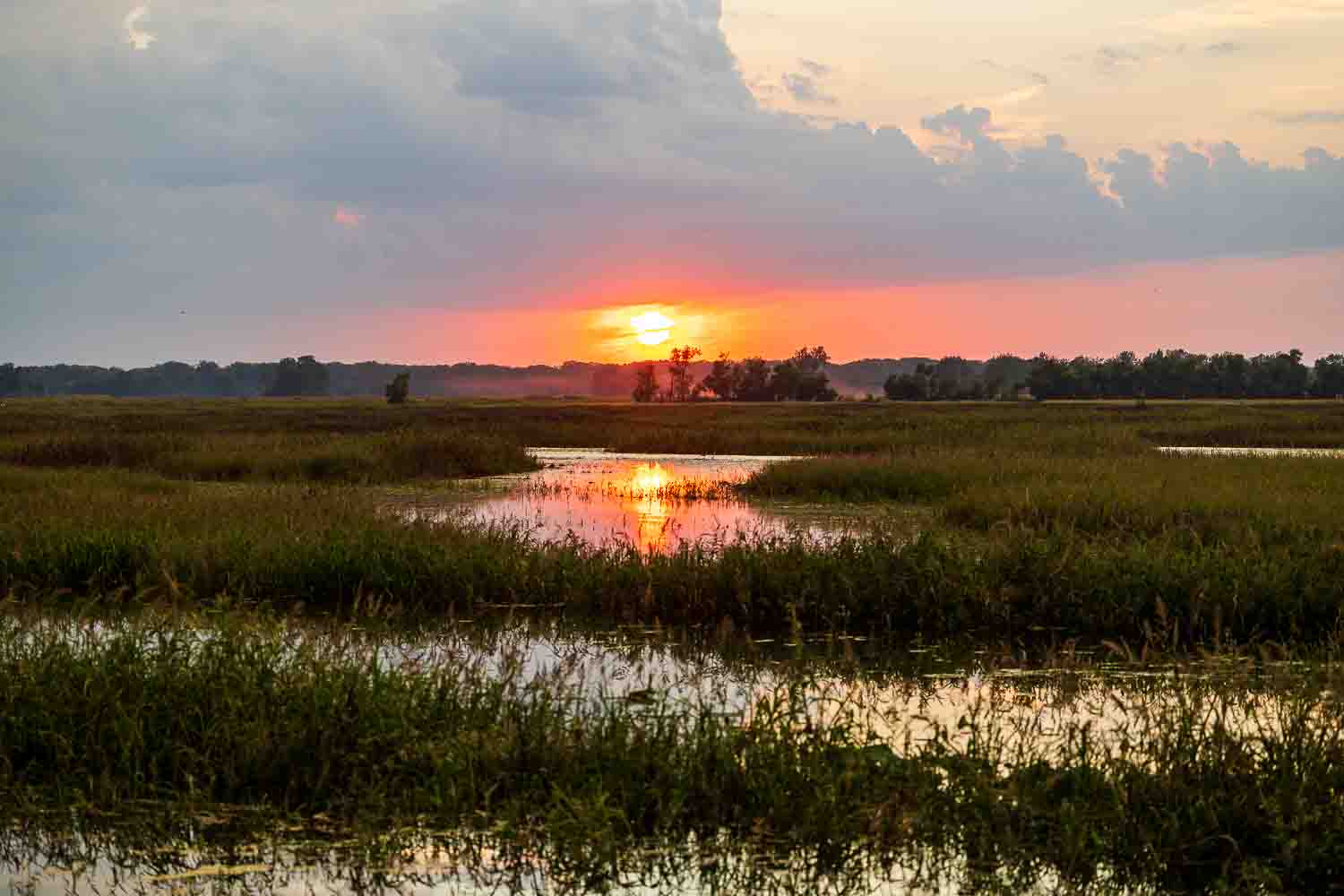 Wetland sunset at Grand Pass Conservation Area