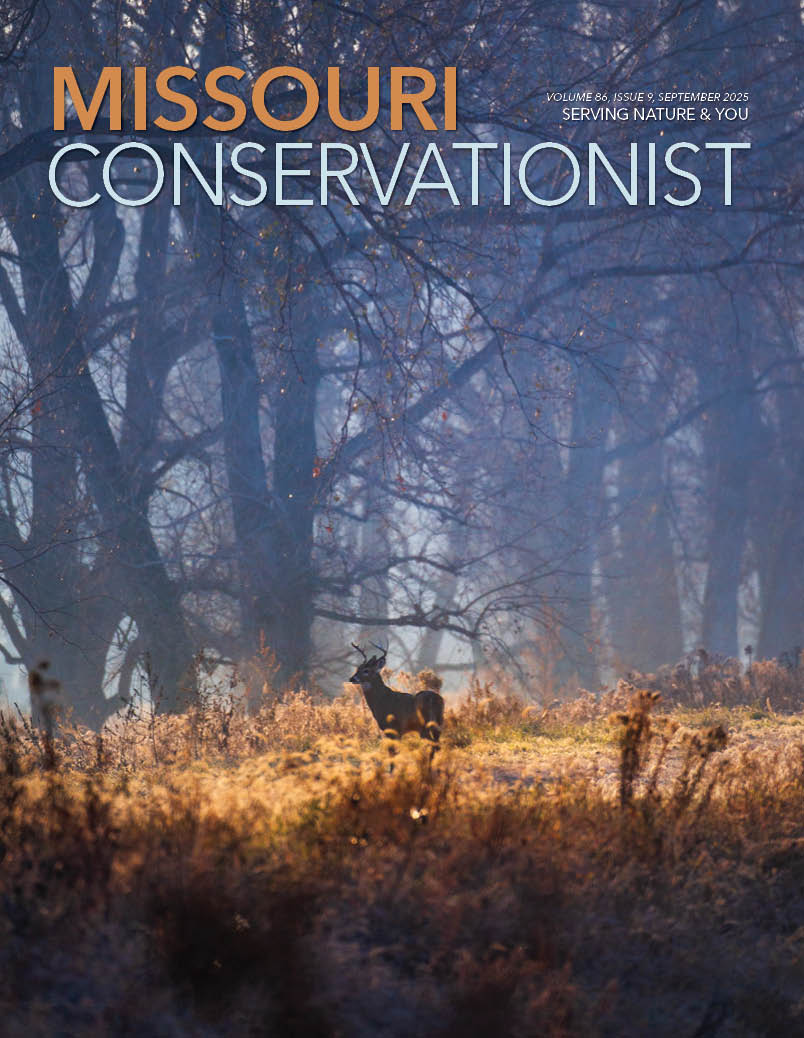 Missouri Conservationist Magazine front cover of a deer in a field