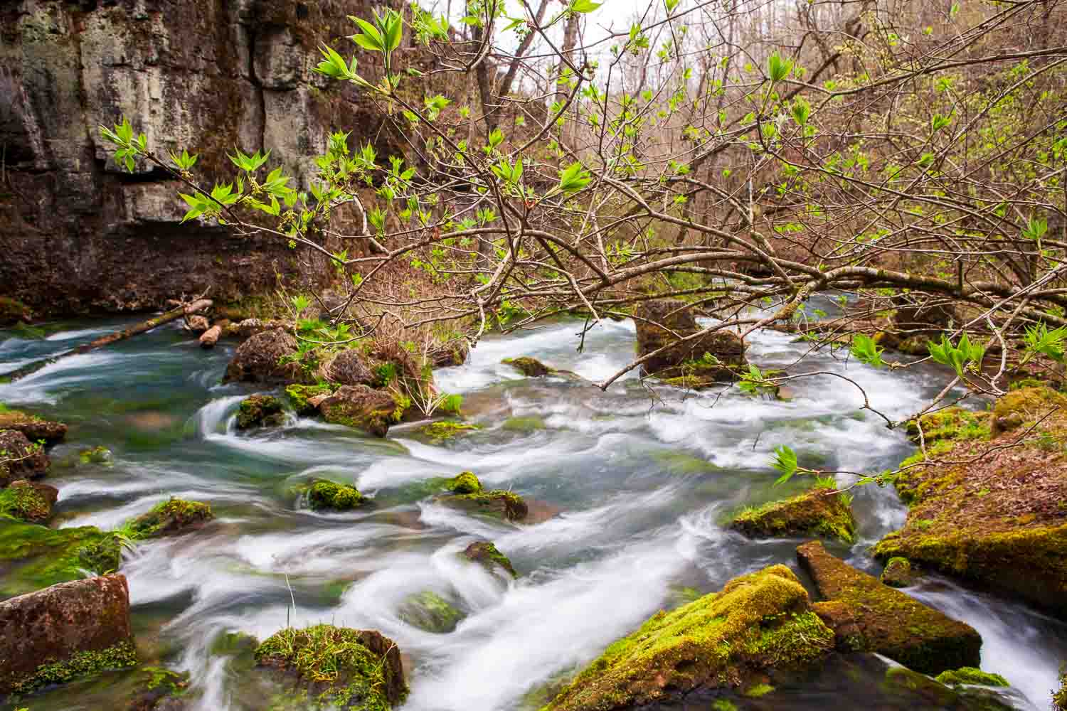Greer Spring