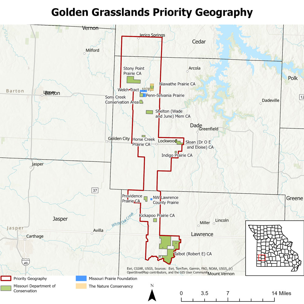 Golden Grassland PG Map