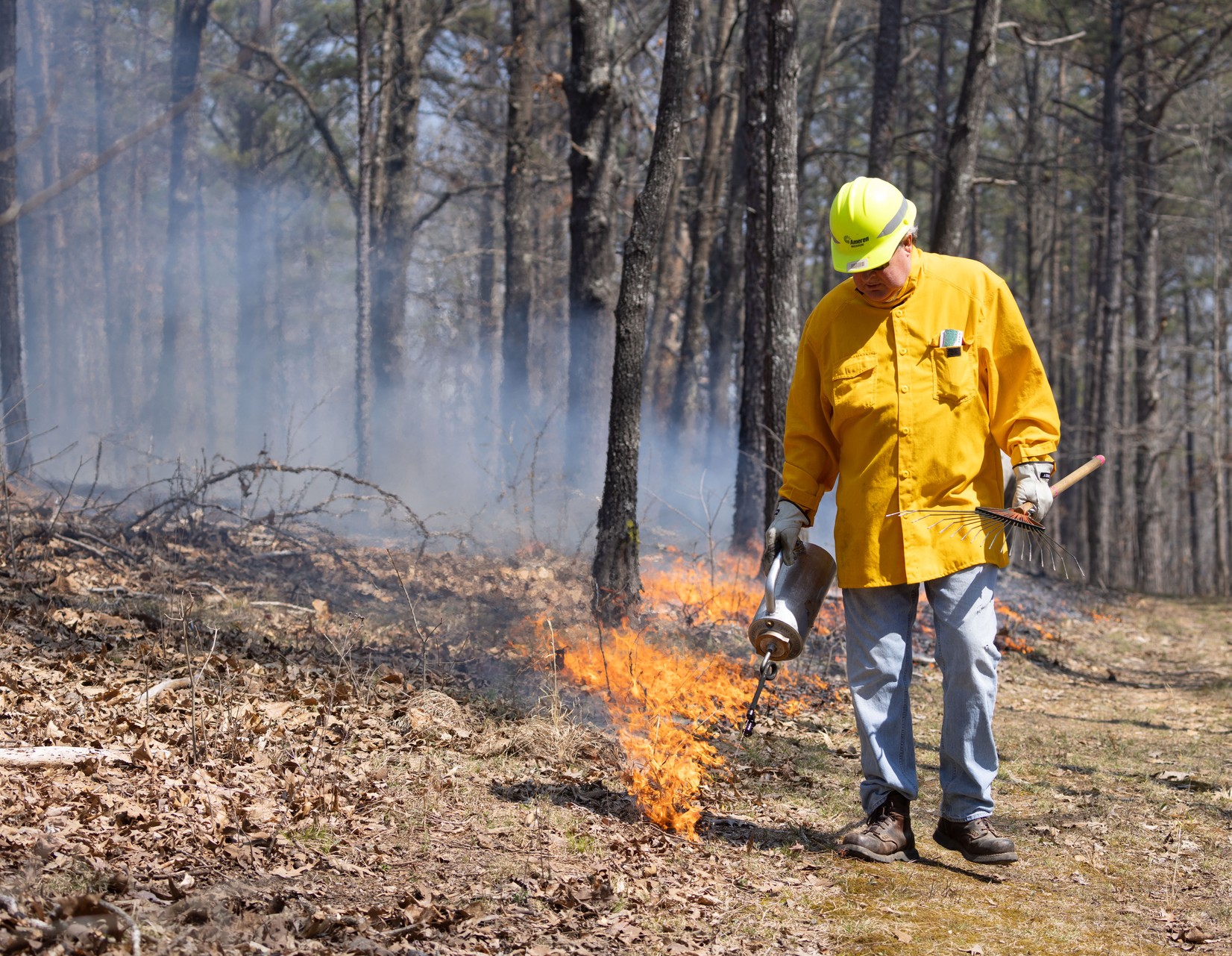 prescribed burn 