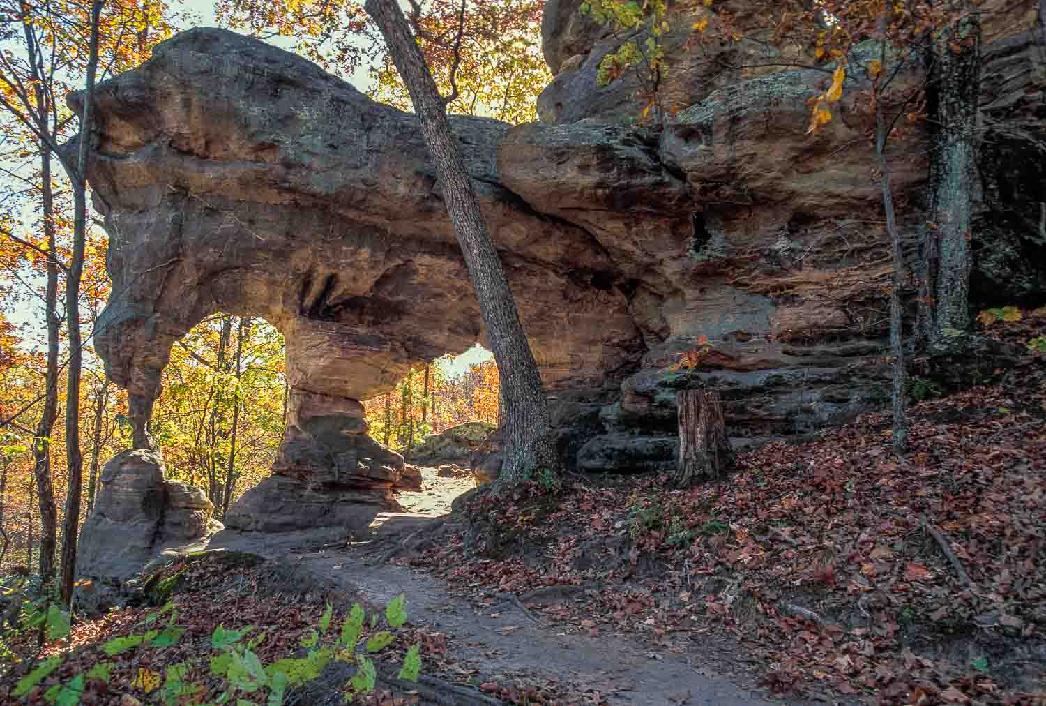 Pickle Springs NA