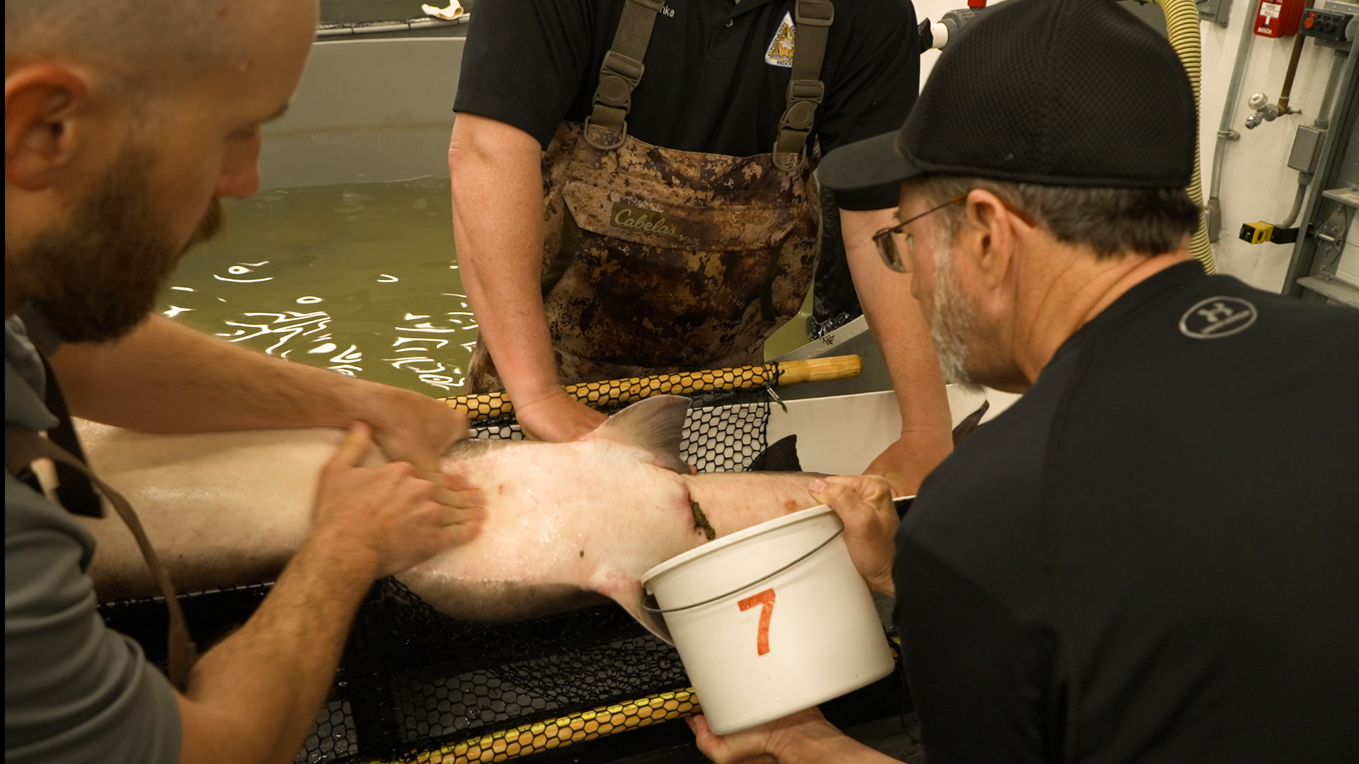 Lake Sturgeon Hatchery