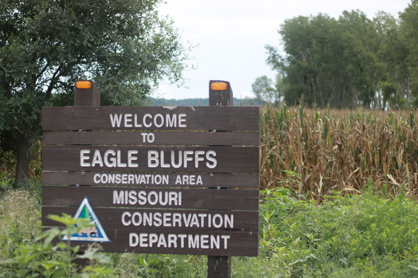 Eagle Bluffs Conservation Area