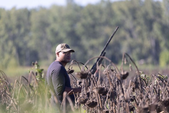 dove hunter