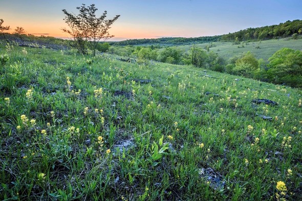 Valley View Glades Natural Area 