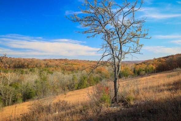 Victoria Glades Conservation Area