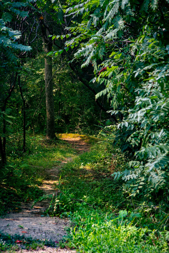 Walnut Woods Conservation Area 