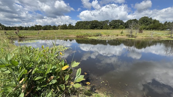 Horton Farm Conservation Area