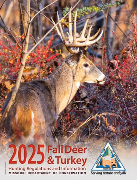 deer cover