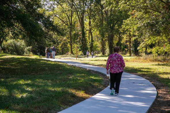 Martha's Nature Trail 2