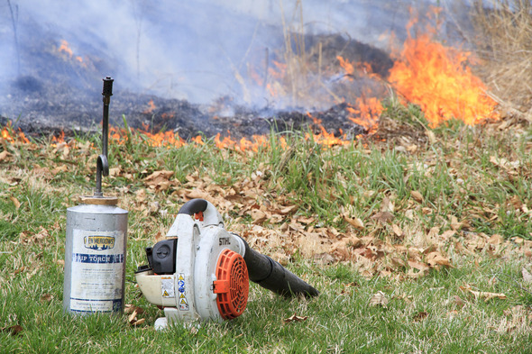 prescribed burn