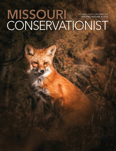 Missouri Conservationist Cover Dec 2025
