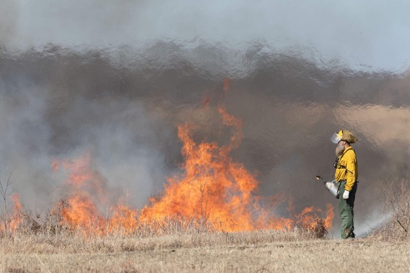 prescribed burning
