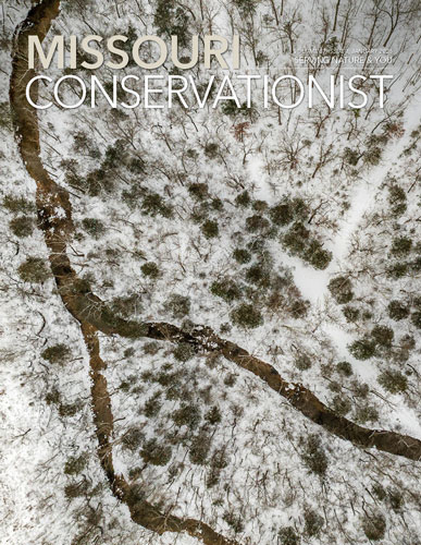 Conservationist front cover for January 