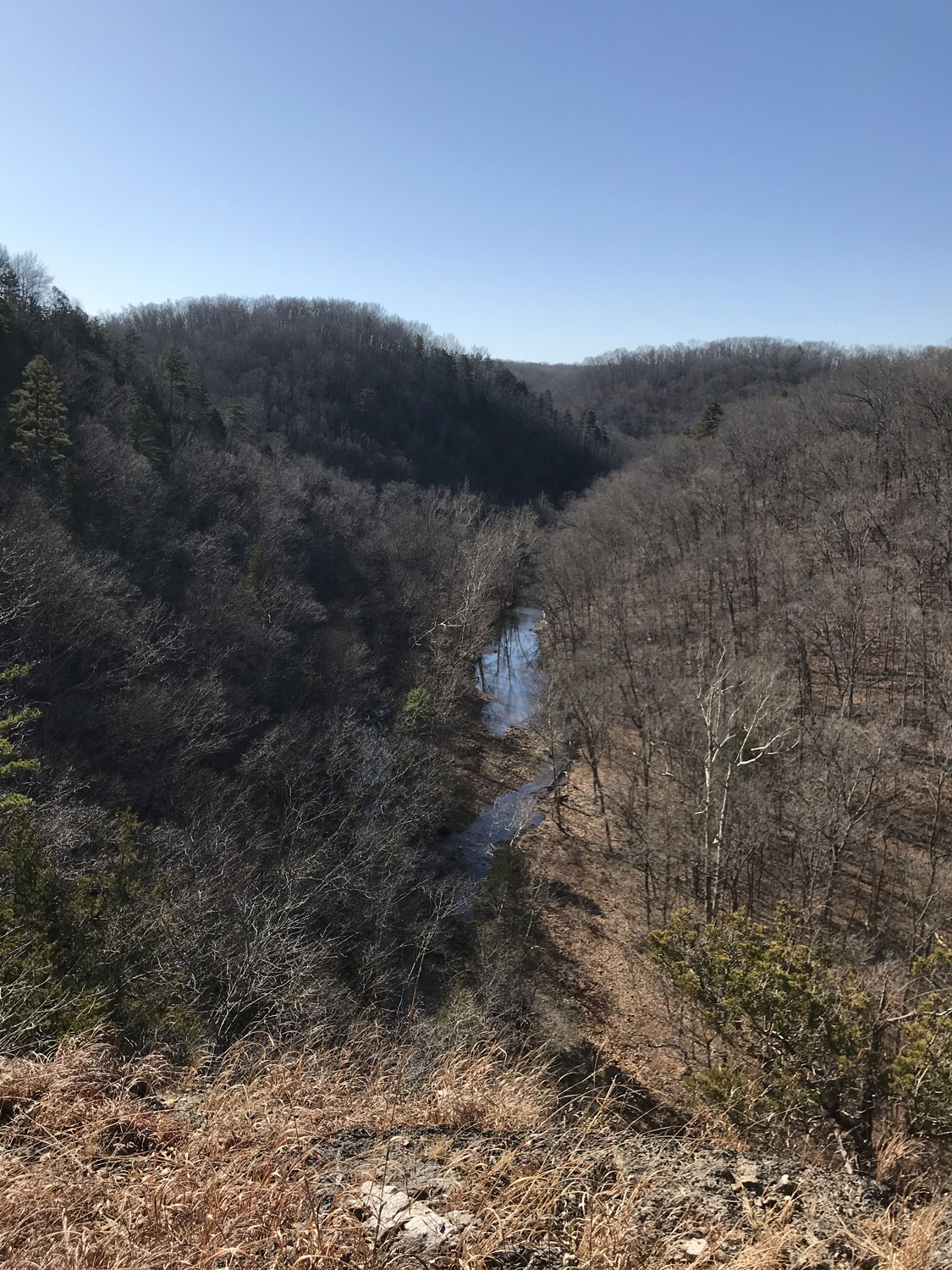 Leatherwood Creek