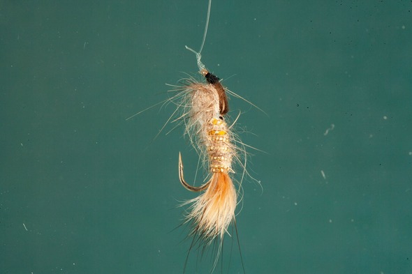 fishing lure
