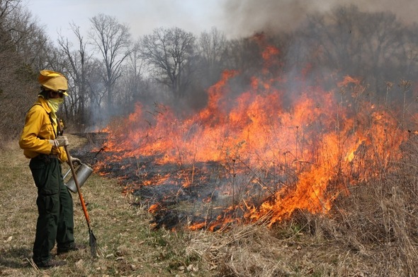 prescribed fire