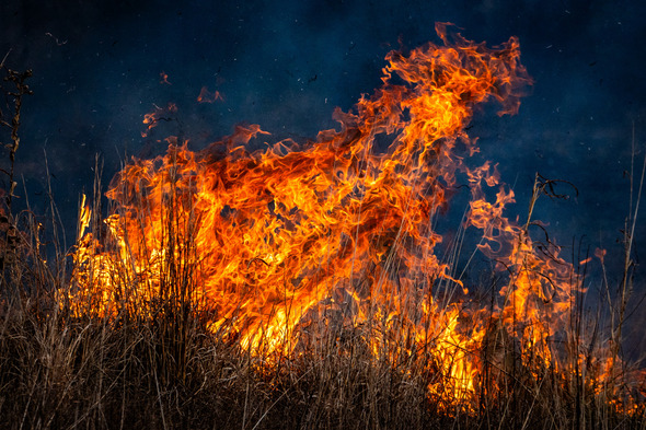 prescribed burn