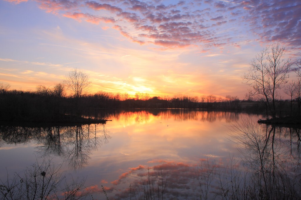 pond