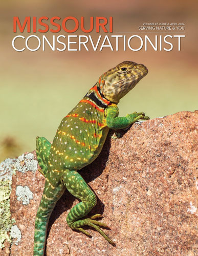 Missouri Conservationist 04-01-26-front cover