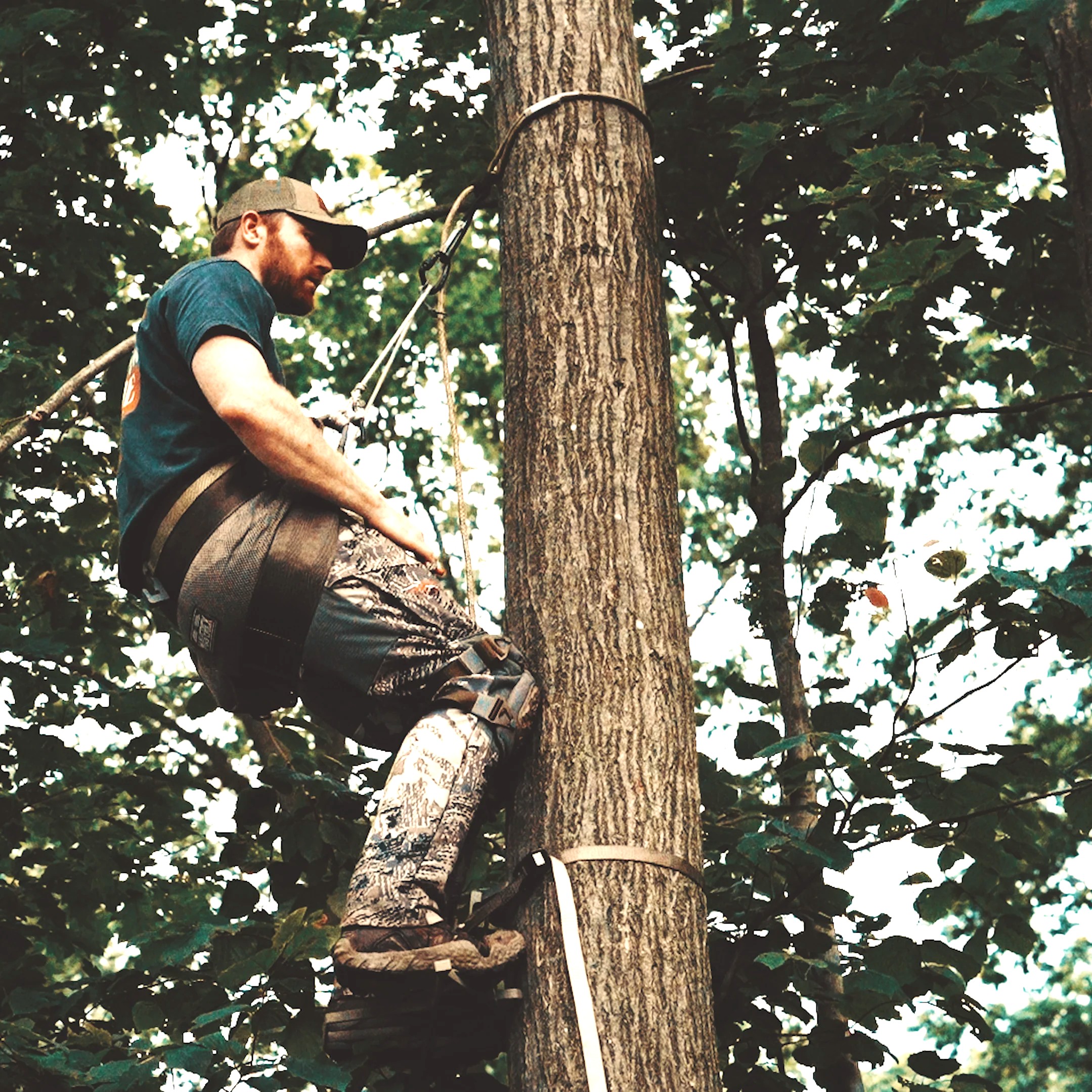saddle hunting 