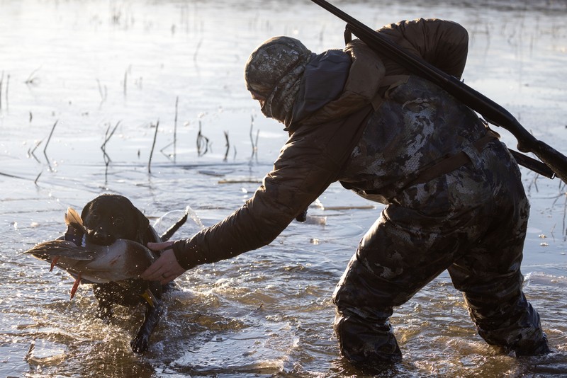 duck hunter with his hunting dog
