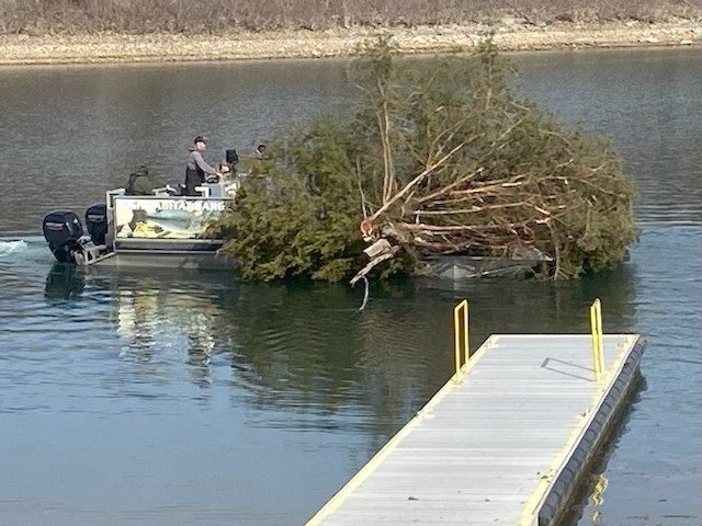 brush piles