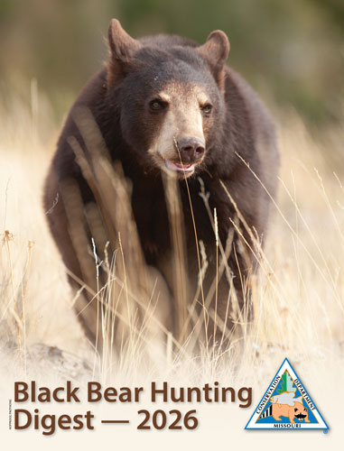 2026 Black Bear Hunting Digest