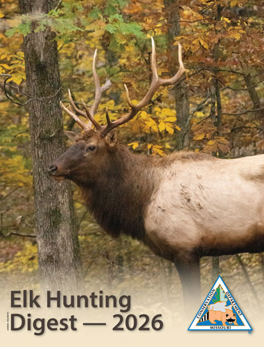 2026 Elk Hunting Digest 