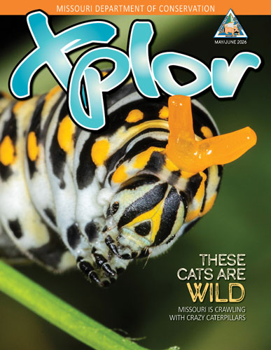 May June Xplor Front Cover