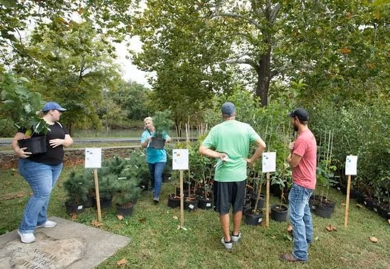 MDC staff give free trees to people