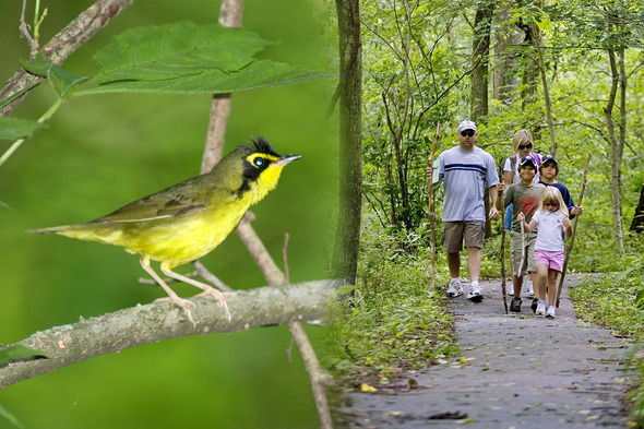 birding and hiking