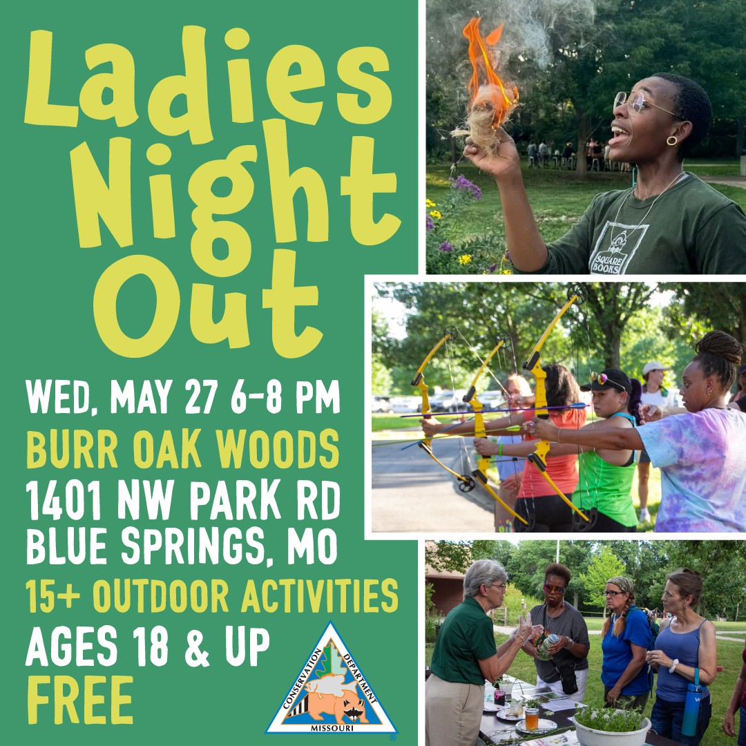 Ladies Night Out 