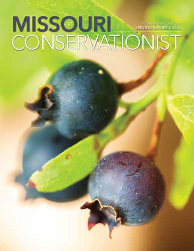Conservationist 07-2026 front cover