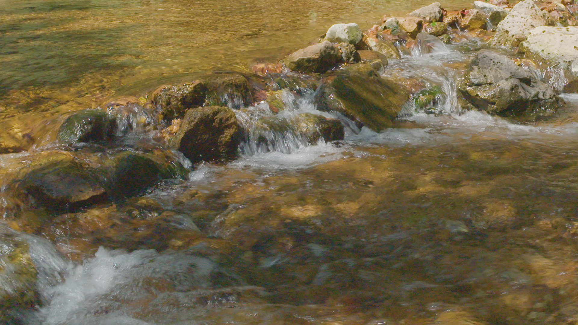 Riffle Blue Springs Creek