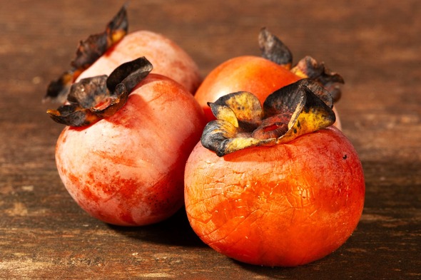 persimmons